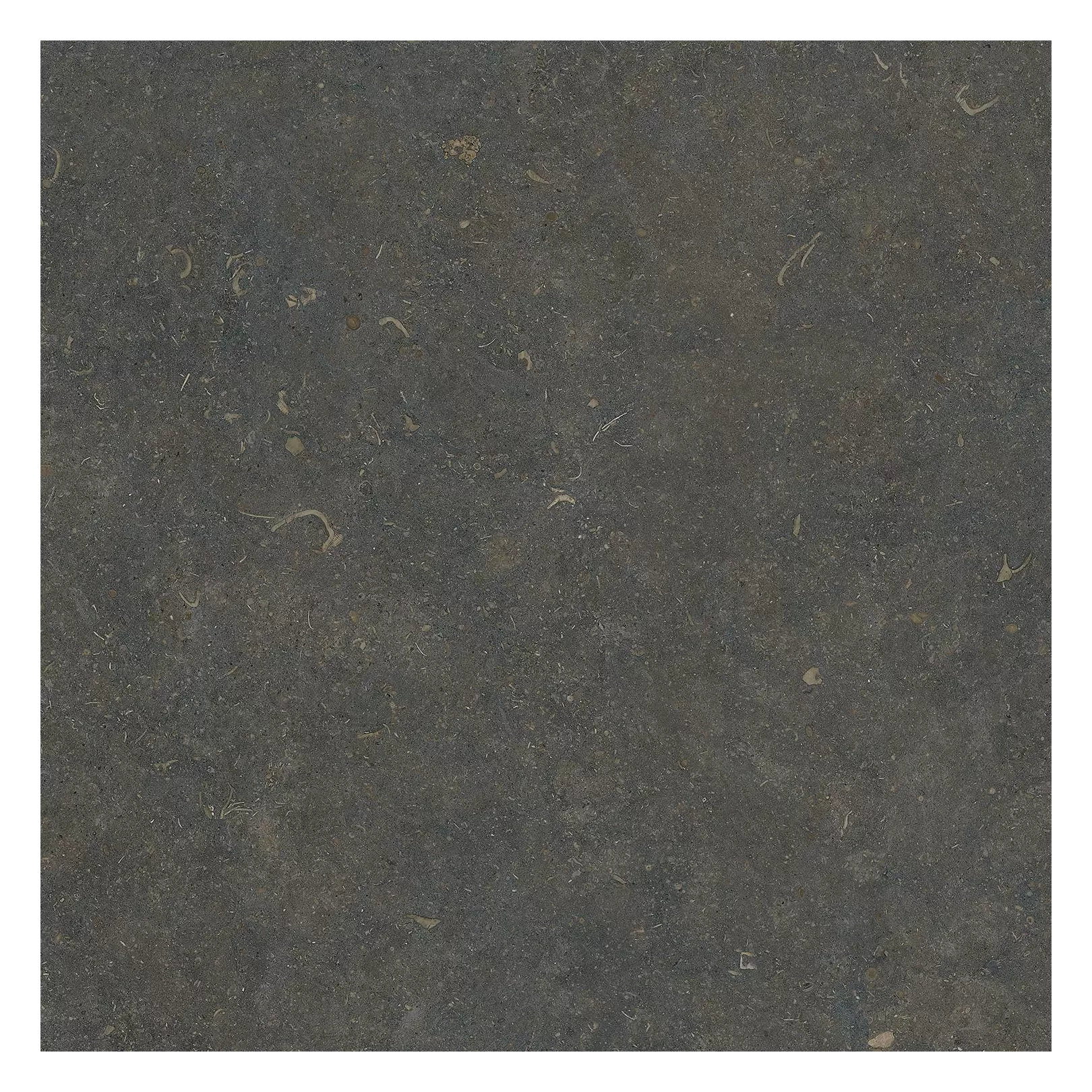 Carrelage grès cérame effet pierre ODA DUCTILE (mural)